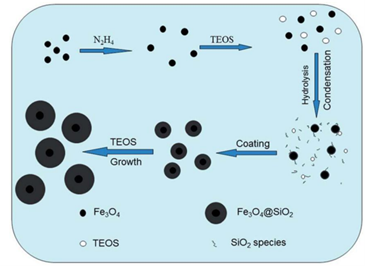 Surface Modification of Magnetic Composite Microspheres - LNJNBIO