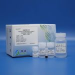 Kit zur Extraktion genomischer DNA aus Vollblut 231006